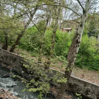 تور طعبیت گردی کافه سینما هر روز هفته