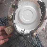 سگ قلاده وقورچه