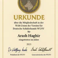 آموزش و مربی سگ ، تخصصی ترین مرکز ایران|خدمات آموزشی|مشهد, کوثر|دیوار