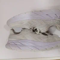 هوکا اصل فرانسه