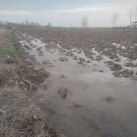 شخم زدن مزرعه باموتورکشاورزی (کوبوتا)