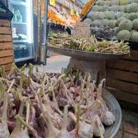 استخدام کارگر ماهر در یک میوه فروشی