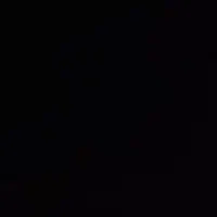 چوب ماهیگیری