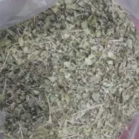آویشن کوهی