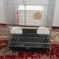 قفس کاسکویی