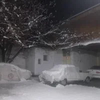 سیم کارت رند 09132801200 فروشی