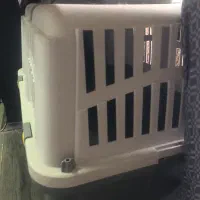 باکس سگ|لوازم جانبی حیوانات|کیش, |دیوار