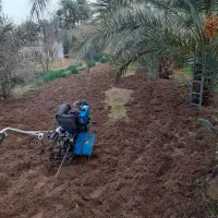 تیلر زنی