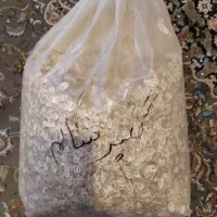 گلپر سالم یک کیلو و ۸۰۰