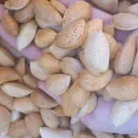 بادام درختی سنگی تازه