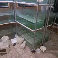 جمع آوری سالن تولید ماهیان زینتی
