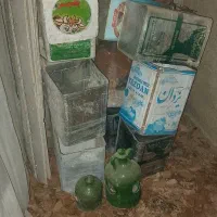 کبوترگنجه جفت کن قوطی و جا تخمی|پرنده|هشتگرد, قاسم آباد بزرگ|دیوار