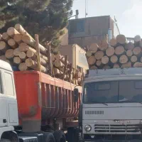 خرید چوب سقفی و انواع چوب درخت