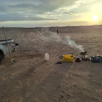 فروش-زمین-دامداری-جاده-دربید