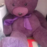 شاسخین مخصوص ولنتاین