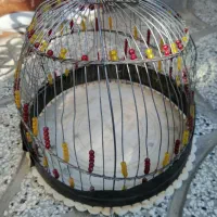 قفس سهره وجل خاکی