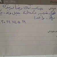 واگذاری سگ|سگ|تهران, ایوانک|دیوار