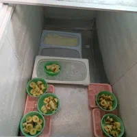 فروش یخچال فریز صندوقی|یخچال و فریزر|گرگان, |دیوار