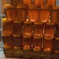 عسل گون اصلی ساکروز زیر ۳ بومی کرمانشاه|خوردنی و آشامیدنی|کاشان, ملاصدرا|دیوار