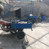 بودی