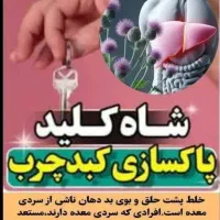 شاه کلید