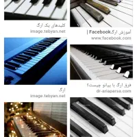 اموزش نوازندگی اورگ و خوانندگی|خدمات آموزشی|رباط‌کریم, نصیرشهر|دیوار