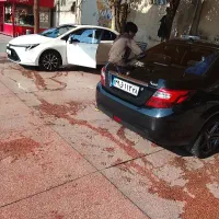 نیرو کارواش