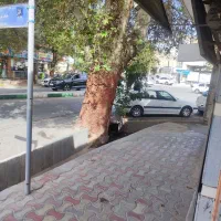 رهن-و-اجاره-ویلایی-در-دانشجو