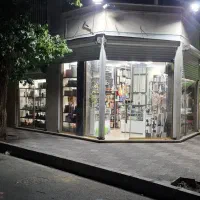 مغازه-فروشی