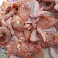 کتف بال تازه