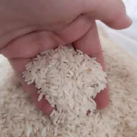برنج درجه یک