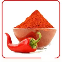 به چند نیرو خانم یا آقا نیازمنذیم