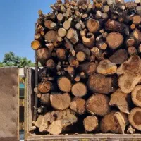 خرید انواع چوب باغات