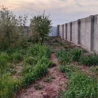 زمین چهار دیواری برای باغ ویلا