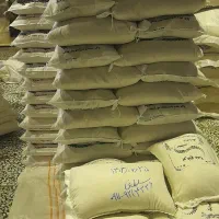 برنج کشت دوم فریدونکنار|خوردنی و آشامیدنی|آمل, |دیوار