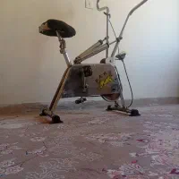 دوچرخه ثابت