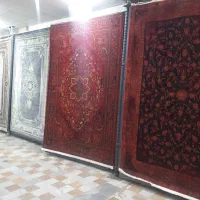 بازرگانی فرش هادی|فرش|قروه, |دیوار