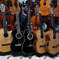 آموزش تخصصی گیتار ( پاپ ایرانی - بلوز - راک )