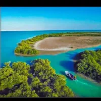 نیازمند سوییت نقلی هستم برای خرید