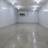 شراکت-در-تولید-قارچ