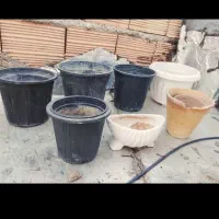 گلدان و گل