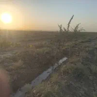 فروش باغ پسته|فروش دفتر صنعتی، کشاورزی، تجاری|سمنان, |دیوار