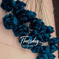 گل زر جاویدان|گل مصنوعی|فولادشهر, مسکن مهر فولادشهر|دیوار