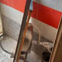 سینک ظرفشویی دو لگنه روکار بهمراه شیر اهرمی|مصالح و تجهیزات ساختمان|تهران, باشگاه نفت|دیوار