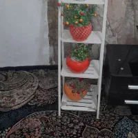 پایه گل با گل هاش|گل مصنوعی|مشهد, گلشور|دیوار