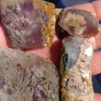 سنگ شجر هفت رنگ