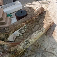 ضایعات چوب|حراج|پاکدشت, پاکدشت (مامازند)|دیوار