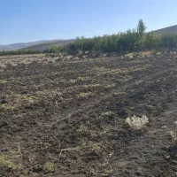 باغ و زمین نزدیک شهر و یک قعطه طرح هادی، معاوضه|فروش دفتر صنعتی، کشاورزی، تجاری|کرمانشاه, |دیوار