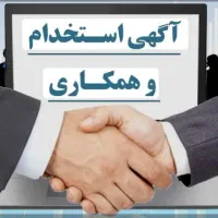 استخدام نیروی فنی