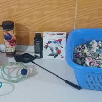 اکواریوم|ماهی|بیجار, |دیوار